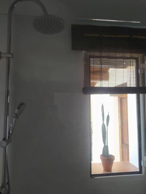 La Luz De Ari *