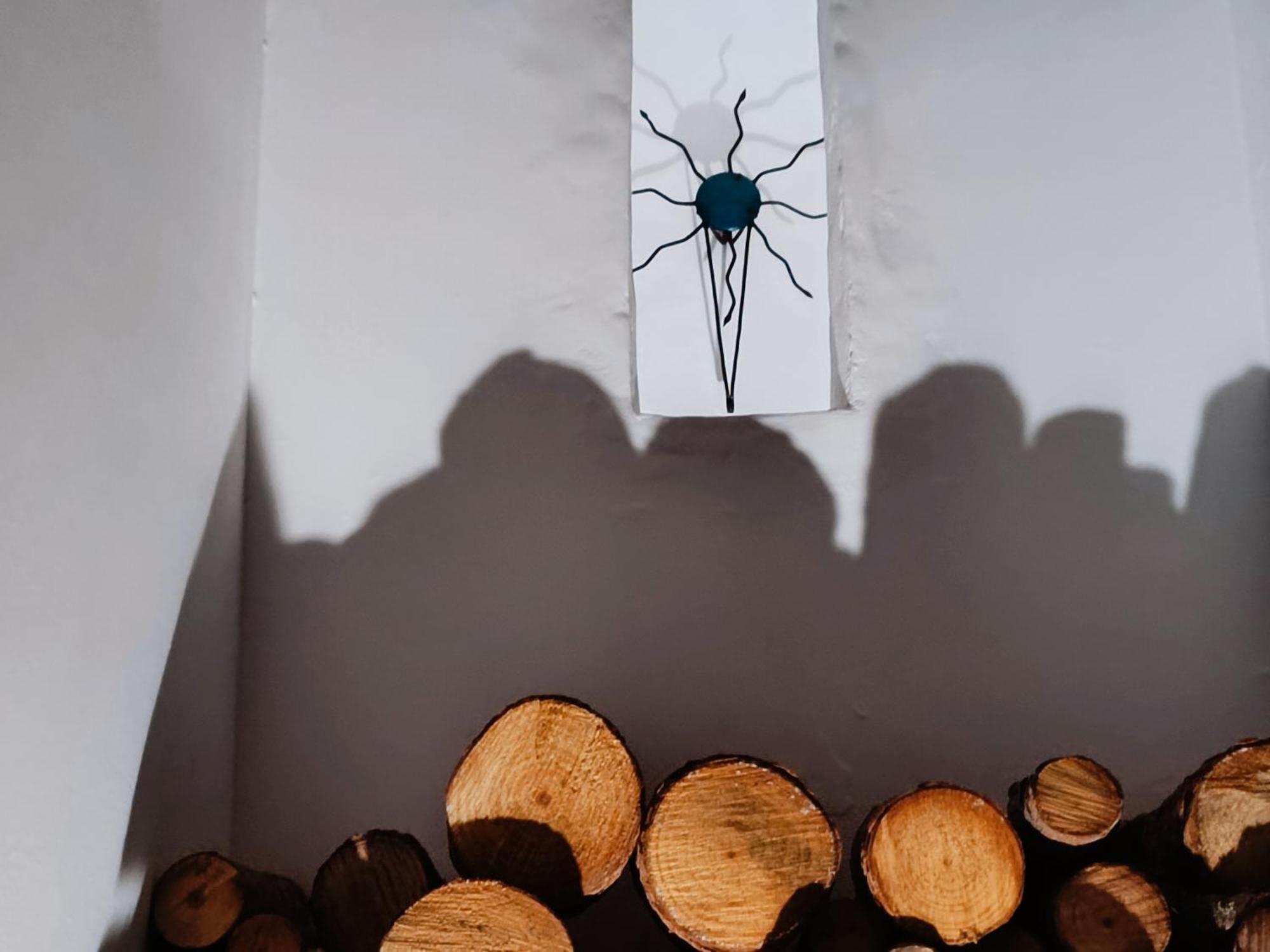 La Luz De Ari Country house Traspinedo