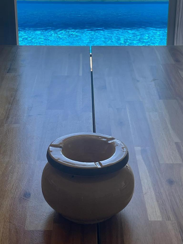 La Luz De Ari
