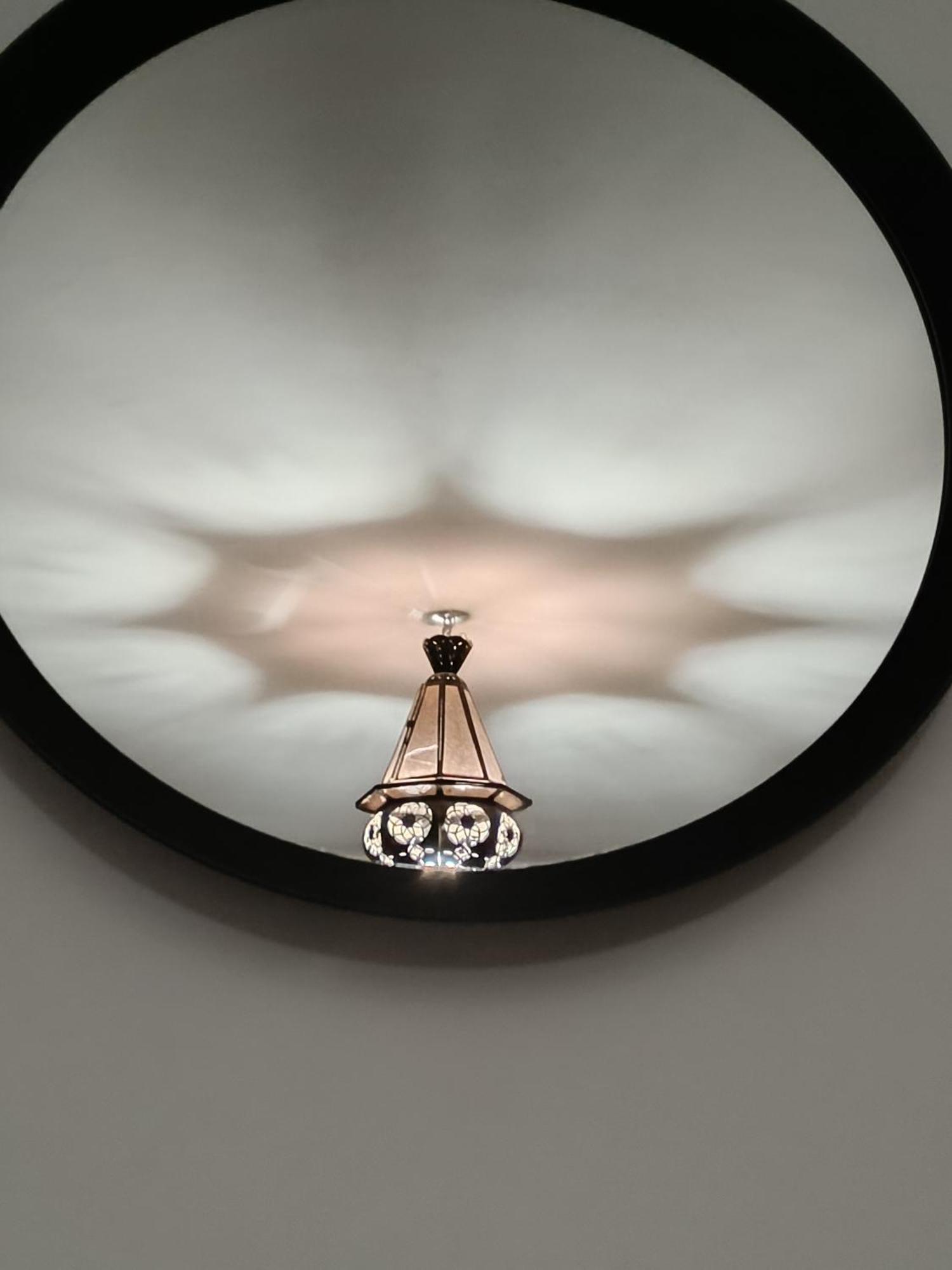 La Luz De Ari Traspinedo